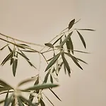 Casa Beltane *