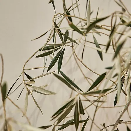 Casa Beltane * 아 코루냐