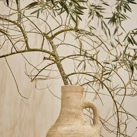 아파트 Casa Beltane