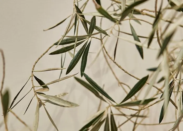 Casa Beltane * A Coruña